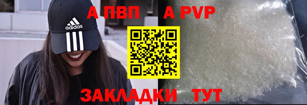 A-PVP СК КРИС Кызыл