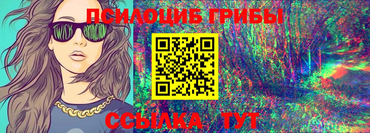 Псилоцибиновые грибы прущие грибы Кызыл